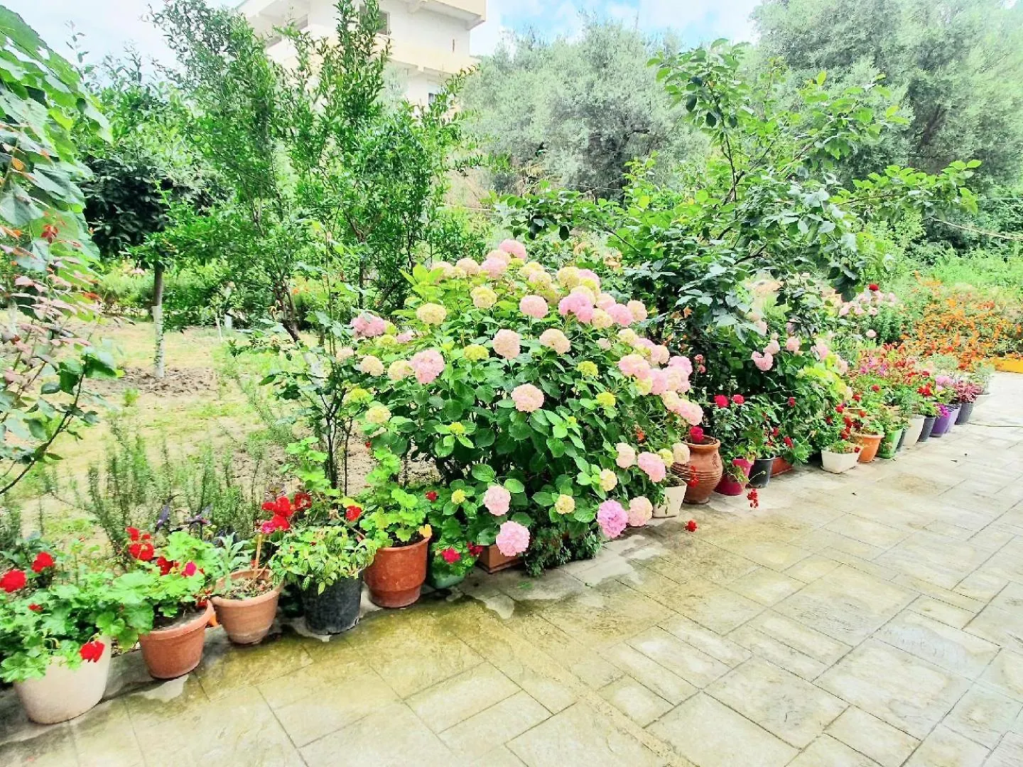 Apartment Apartament Me Qera Dublex Lungomare Vlore